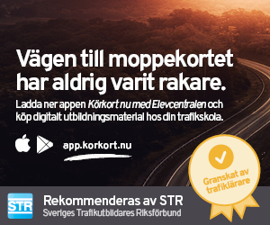 Koramoped_Banner_300x250px.jpg