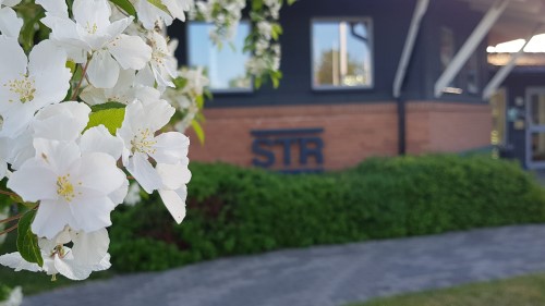 Riksmöte 2021 genomförs digitalt