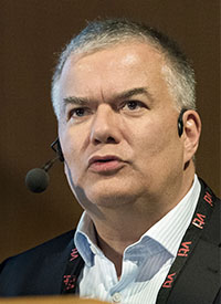 Bjelfvenstam_spalt.jpg