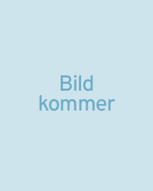 str_distrikt_bildkommer.jpg